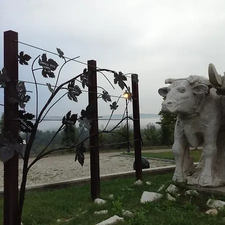 Palazzo Di Mezzo Hotel Carrù