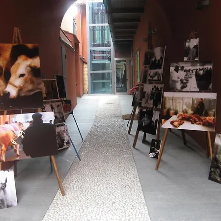 Palazzo Di Mezzo 3* Carrù